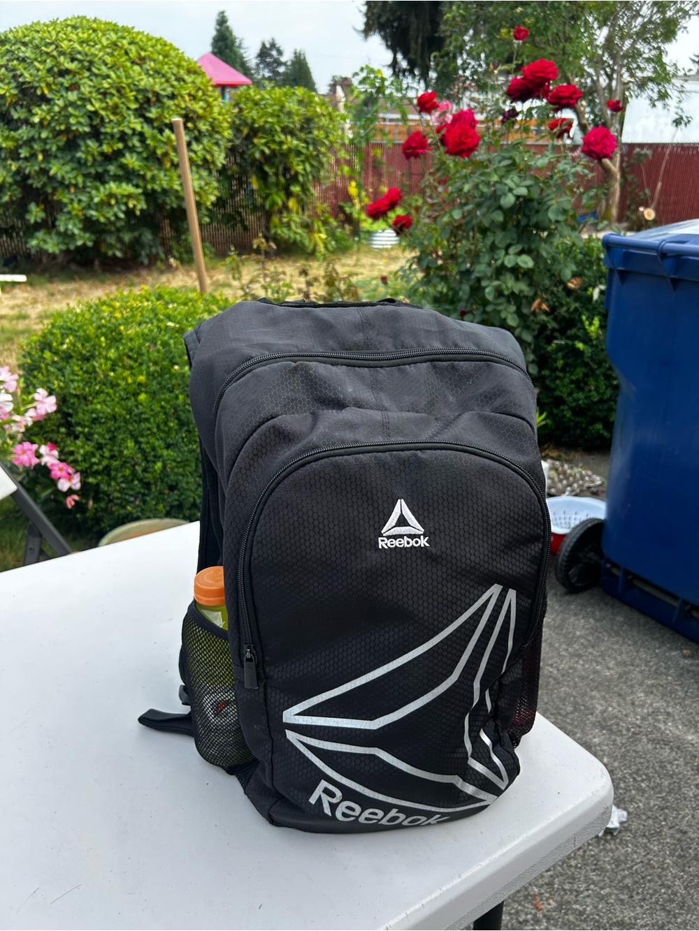 Reebok Black Backpack with Gray Logo Accents